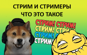 Стримеры: кто такие, сколько зарабатывают, что делать, чтобы стать стримером